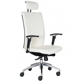 SILLON DIRECTIVO / DRIVE RESPALDO ALTO