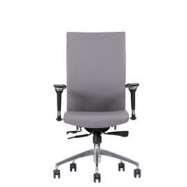 SILLON EJECUTIVO / DRIVE RESPALDO BAJO