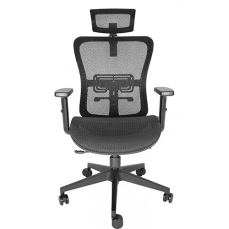 SILLA EJECUTIVA / DRACO OHE-605